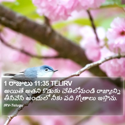1 రాజులు 11:35 TELIRV Bible Verse Image