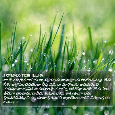1 రాజులు 11:38 TELIRV Bible Verse Image