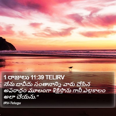 1 రాజులు 11:39 TELIRV Bible Verse Image