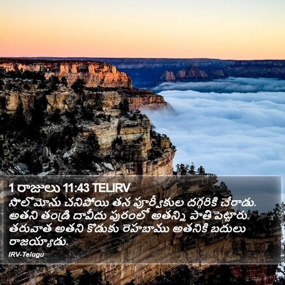 1 రాజులు 11:43 TELIRV Bible Verse Image