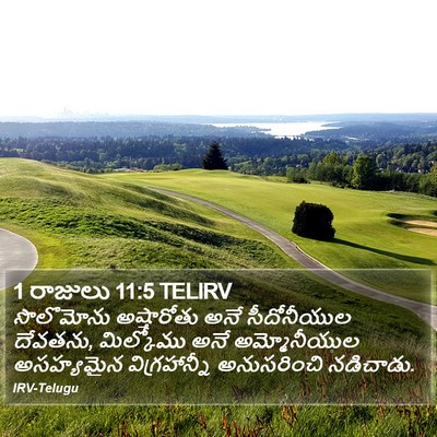 1 రాజులు 11:5 TELIRV Bible Verse Image