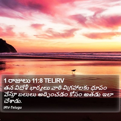 1 రాజులు 11:8 TELIRV Bible Verse Image