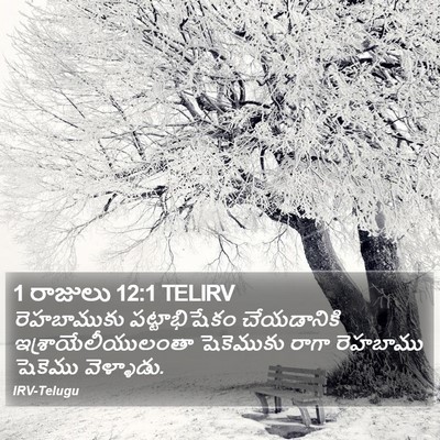 1 రాజులు 12:1 TELIRV Bible Verse Image