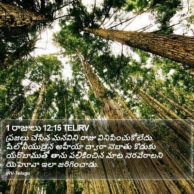 1 రాజులు 12:15 TELIRV Bible Verse Image