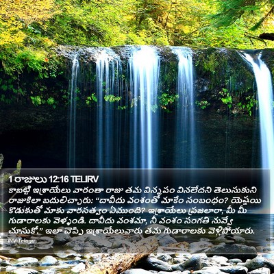 1 రాజులు 12:16 TELIRV Bible Verse Image