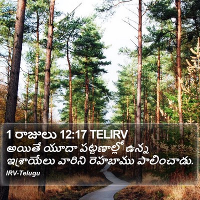 1 రాజులు 12:17 TELIRV Bible Verse Image