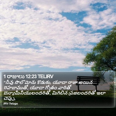 1 రాజులు 12:23 TELIRV Bible Verse Image