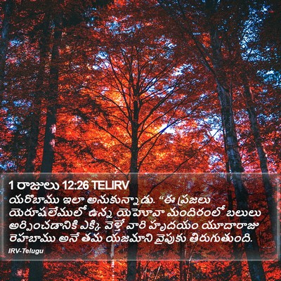 1 రాజులు 12:26 TELIRV Bible Verse Image