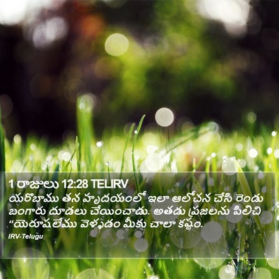 1 రాజులు 12:28 TELIRV Bible Verse Image
