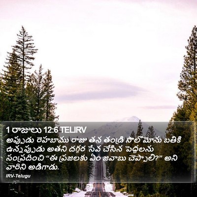 1 రాజులు 12:6 TELIRV Bible Verse Image
