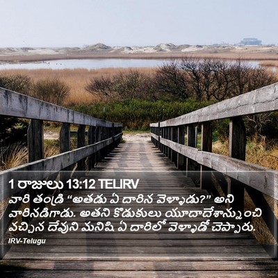 1 రాజులు 13:12 TELIRV Bible Verse Image