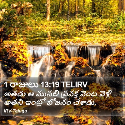 1 రాజులు 13:19 TELIRV Bible Verse Image