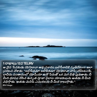 1 రాజులు 13:2 TELIRV Bible Verse Image