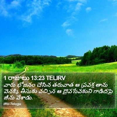 1 రాజులు 13:23 TELIRV Bible Verse Image