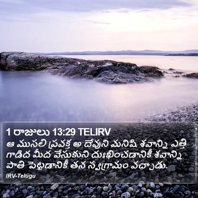 1 రాజులు 13:29 TELIRV Bible Verse Image