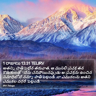 1 రాజులు 13:31 TELIRV Bible Verse Image