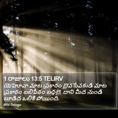 1 రాజులు 13:5 TELIRV Bible Verse Image