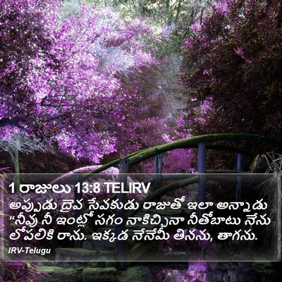 1 రాజులు 13:8 TELIRV Bible Verse Image