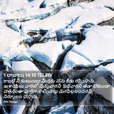 1 రాజులు 14:10 TELIRV Bible Verse Image