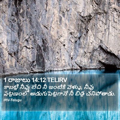 1 రాజులు 14:12 TELIRV Bible Verse Image