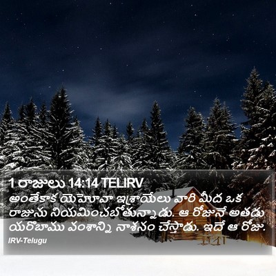 1 రాజులు 14:14 TELIRV Bible Verse Image