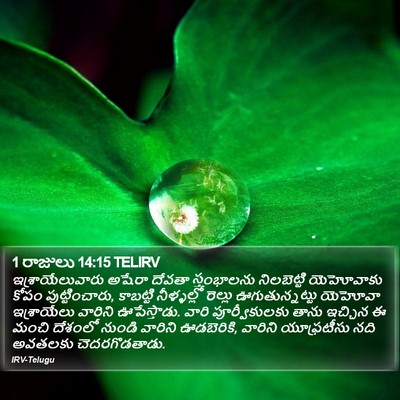 1 రాజులు 14:15 TELIRV Bible Verse Image