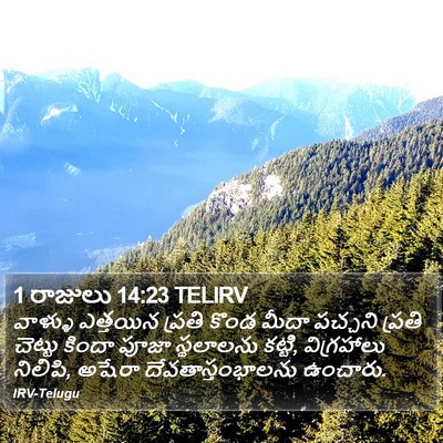 1 రాజులు 14:23 TELIRV Bible Verse Image