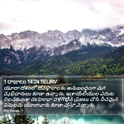 1 రాజులు 14:24 TELIRV Bible Verse Image