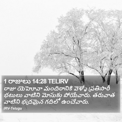 1 రాజులు 14:28 TELIRV Bible Verse Image
