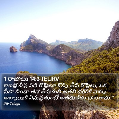 1 రాజులు 14:3 TELIRV Bible Verse Image
