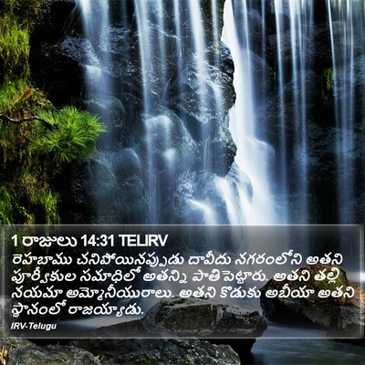 1 రాజులు 14:31 TELIRV Bible Verse Image