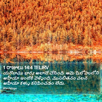 1 రాజులు 14:4 TELIRV Bible Verse Image