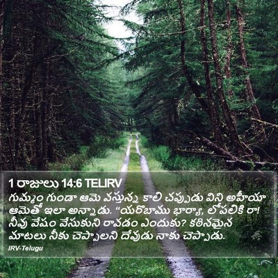 1 రాజులు 14:6 TELIRV Bible Verse Image