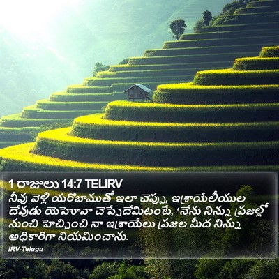 1 రాజులు 14:7 TELIRV Bible Verse Image