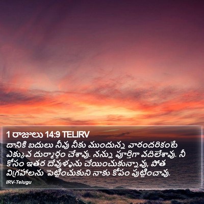1 రాజులు 14:9 TELIRV Bible Verse Image