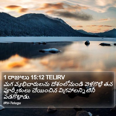 1 రాజులు 15:12 TELIRV Bible Verse Image