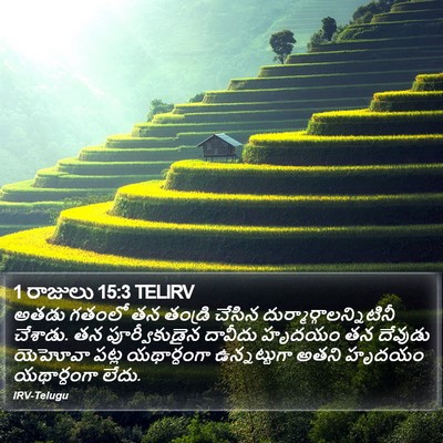1 రాజులు 15:3 TELIRV Bible Verse Image