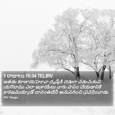 1 రాజులు 15:34 TELIRV Bible Verse Image
