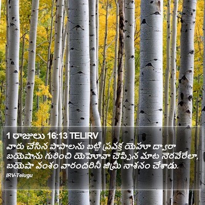 1 రాజులు 16:13 TELIRV Bible Verse Image