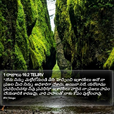 1 రాజులు 16:2 TELIRV Bible Verse Image