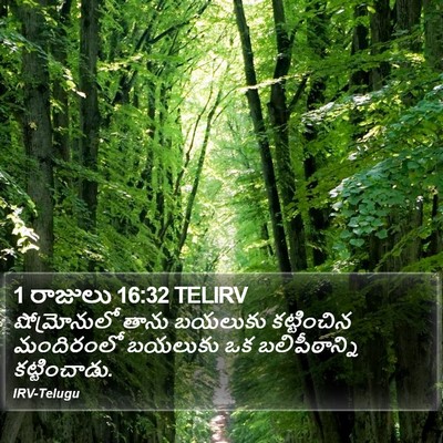 1 రాజులు 16:32 TELIRV Bible Verse Image