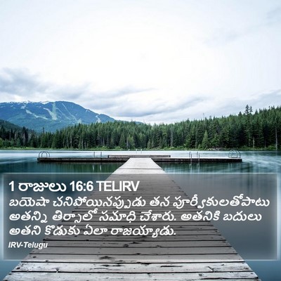 1 రాజులు 16:6 TELIRV Bible Verse Image