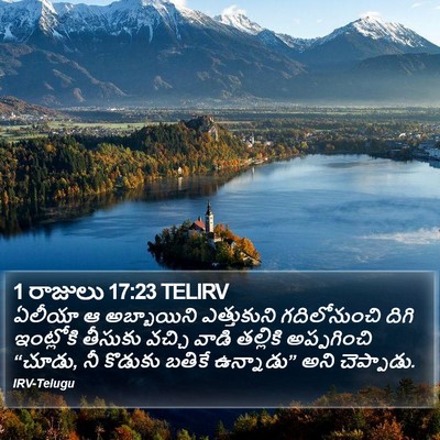 1 రాజులు 17:23 TELIRV Bible Verse Image