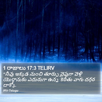 1 రాజులు 17:3 TELIRV Bible Verse Image
