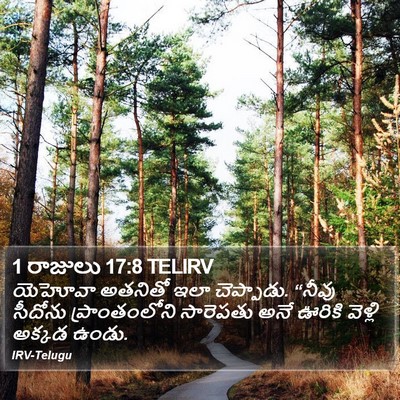 1 రాజులు 17:8 TELIRV Bible Verse Image