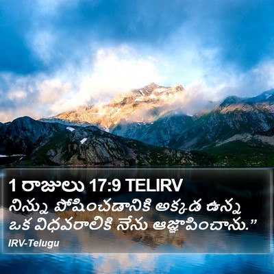 1 రాజులు 17:9 TELIRV Bible Verse Image
