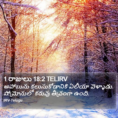 1 రాజులు 18:2 TELIRV Bible Verse Image