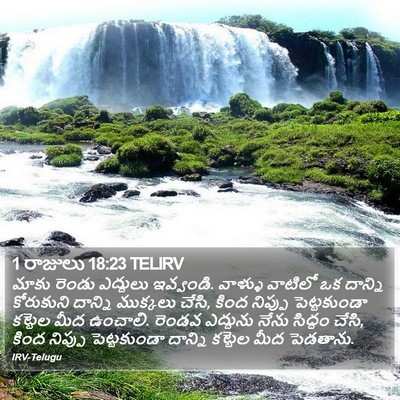1 రాజులు 18:23 TELIRV Bible Verse Image