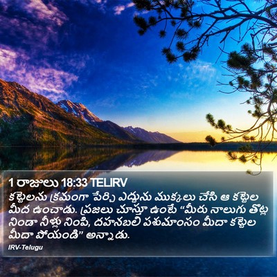 1 రాజులు 18:33 TELIRV Bible Verse Image