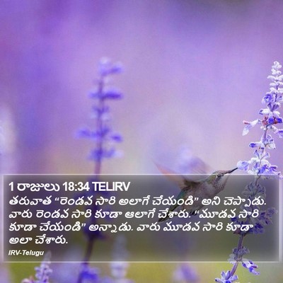 1 రాజులు 18:34 TELIRV Bible Verse Image